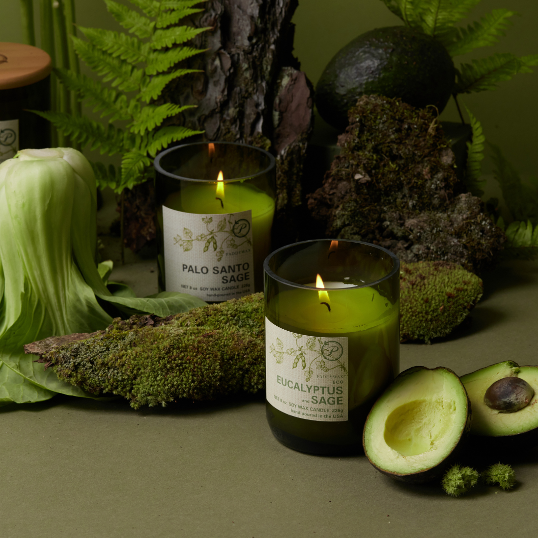 Paddywax Eco Green Soy Wax Candle, Wild Fig & Vetiver Scent (8 oz)