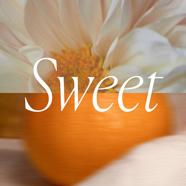 Paddywax - Sweet Candles