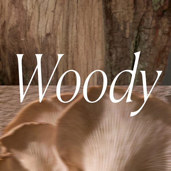 Paddywax - Woody Candles