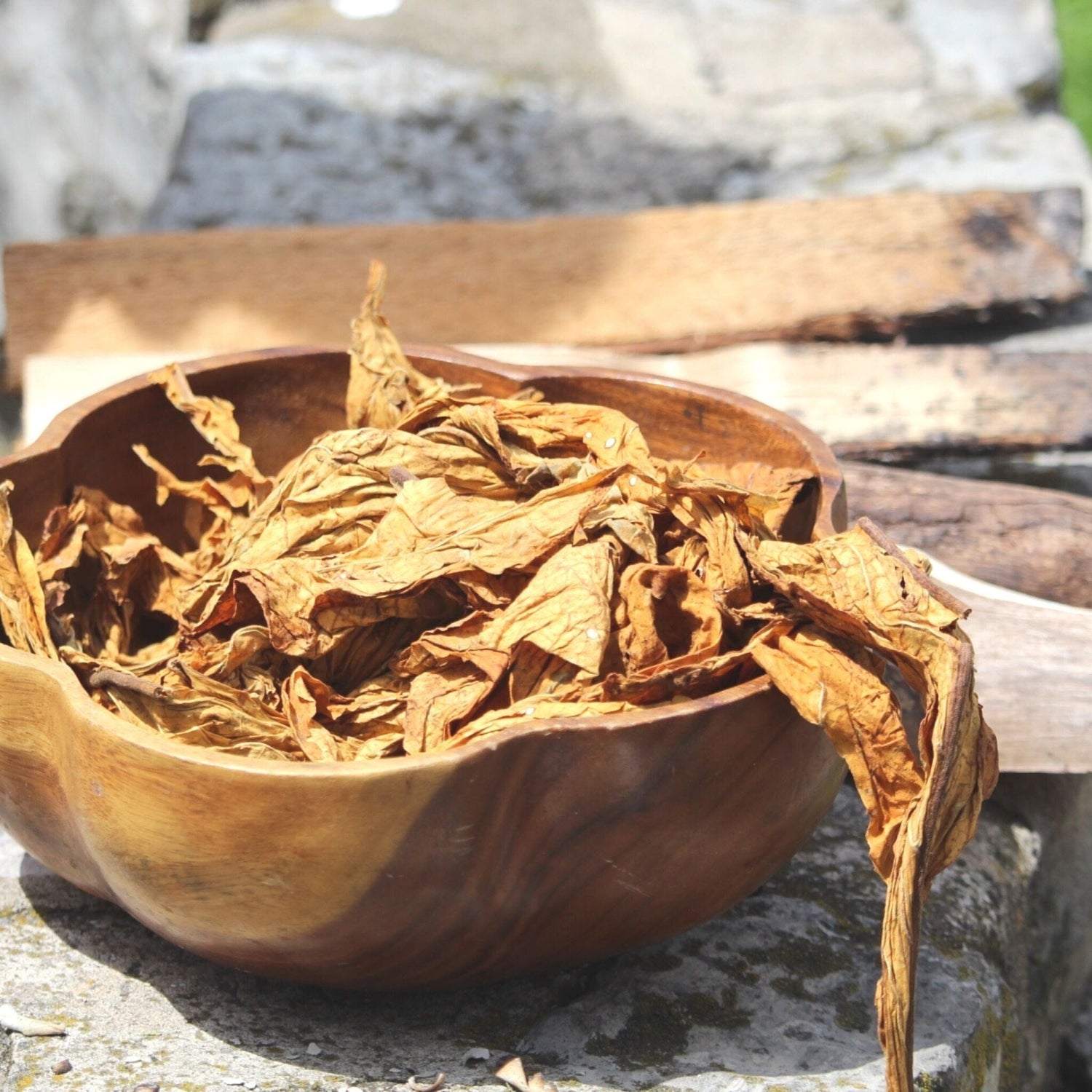 Dried tobacco leaves in brown wooden bowl