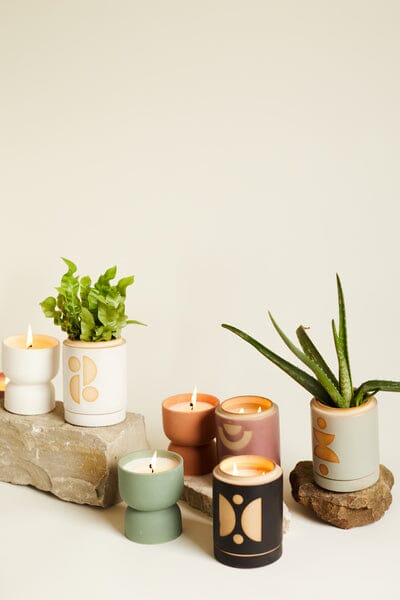 A calming display features six Form 6oz. Mint Matte Hourglass Ceramic candles in Ocean Rose & Bay, two small potted plants, and two rocks on a neutral background for a fresh, natural fragrance.