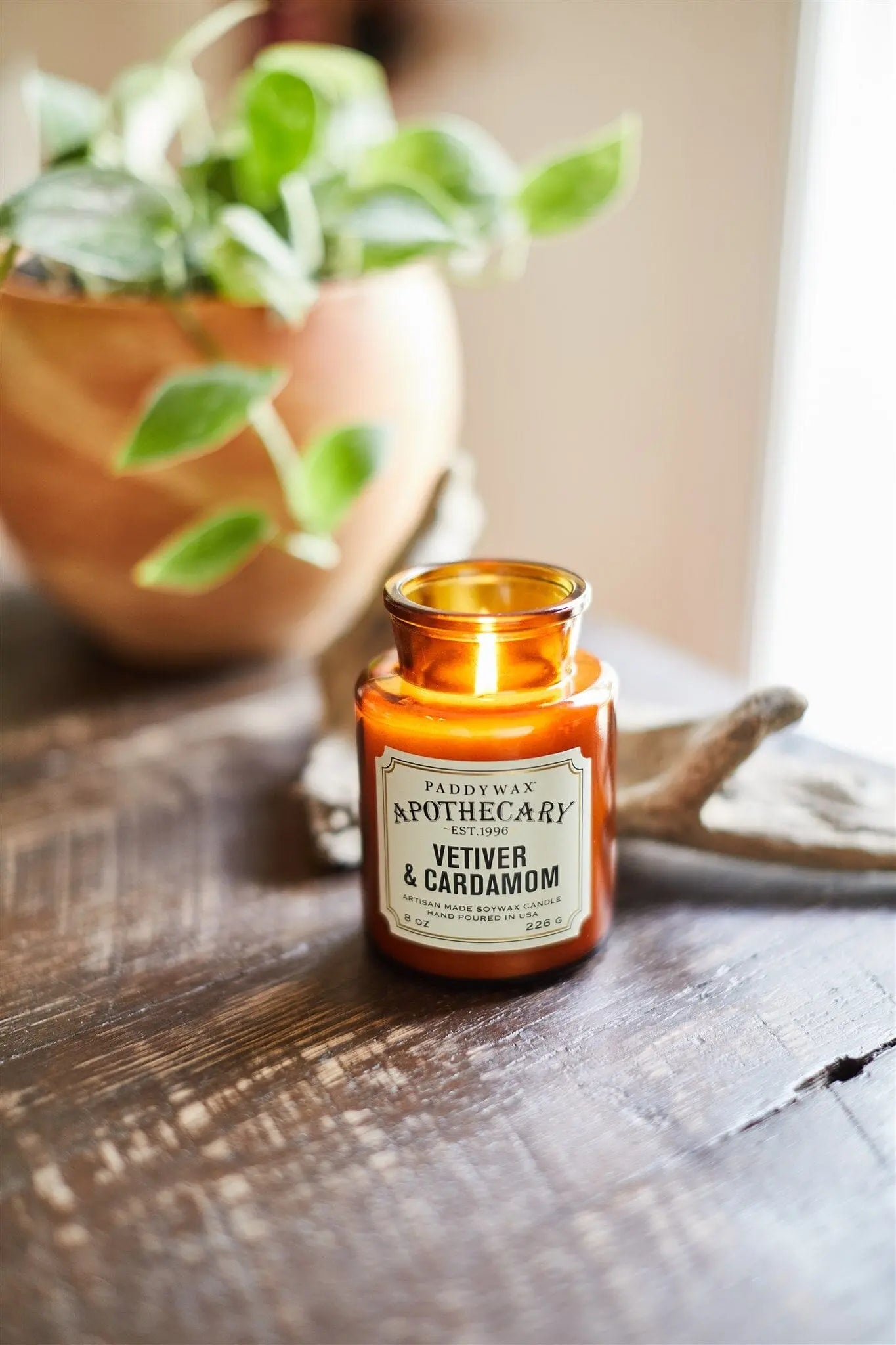A lit Apothecary 8 oz Candle - Vetiver + Cardamom in an amber glass vessel rests on a wooden table by a green potted plant, infusing the area with its rich fragrance.