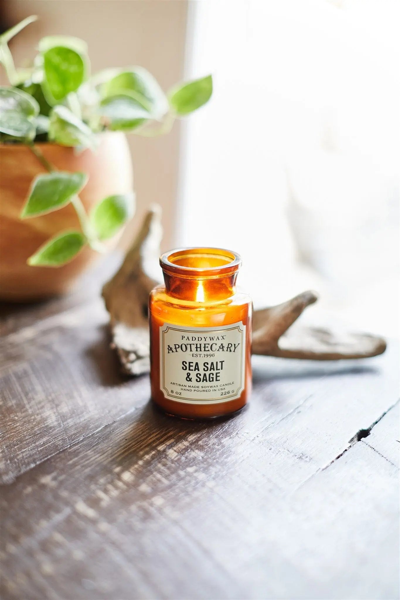 An Apothecary 8 oz Candle - Sea Salt + Sage in an amber glass jar sits lit on a wooden table beside a potted plant and driftwood.