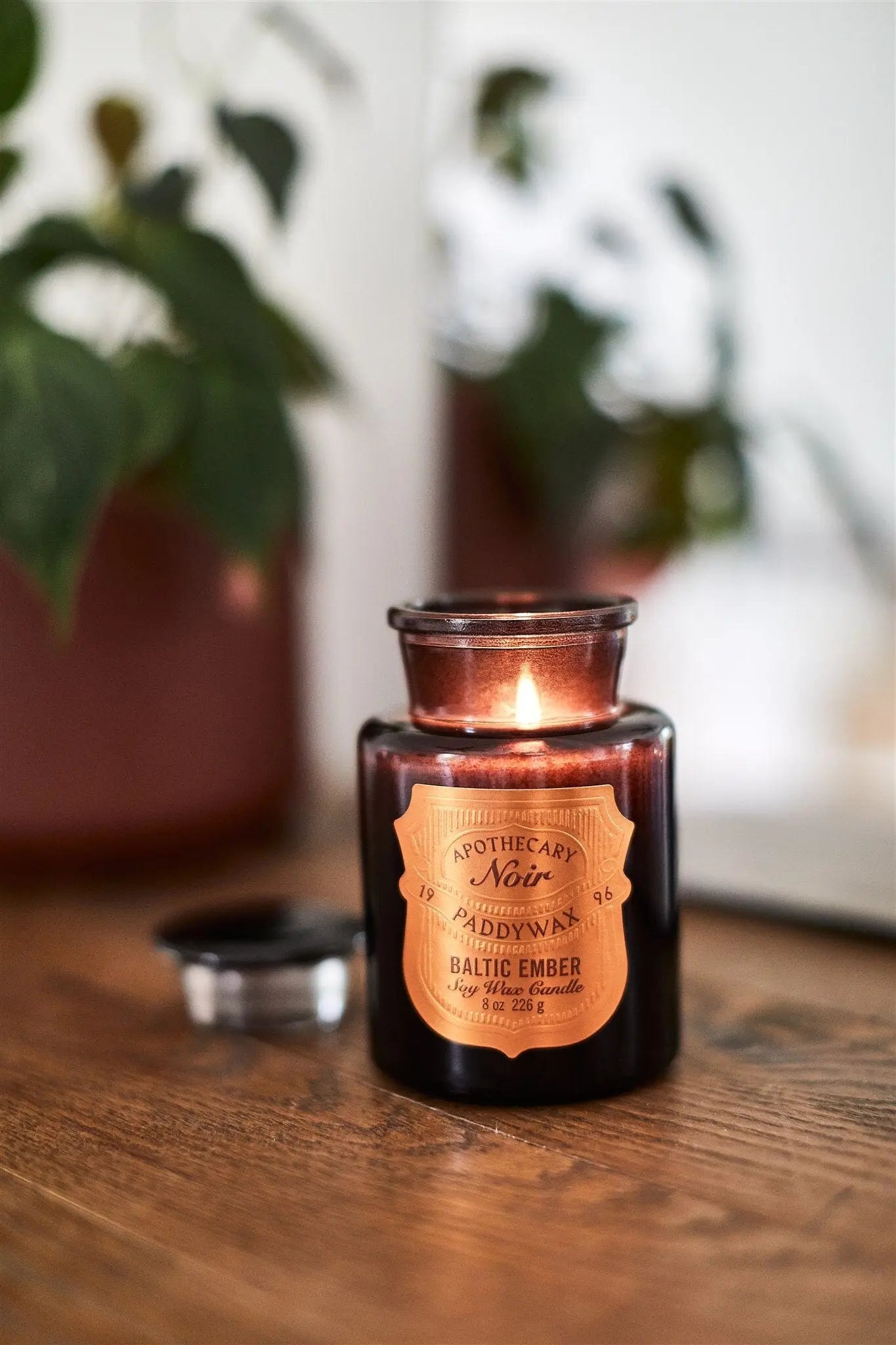An Apothecary Noir - Baltic Ember 8 oz candle in black glass sits lit on a wooden surface with its lid nearby; softly blurred potted plants appear in the background.