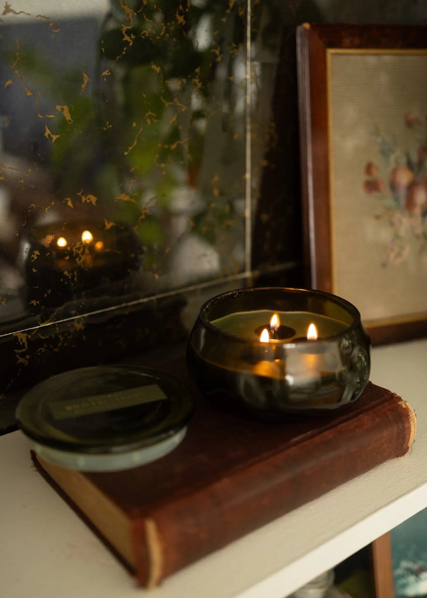 Wild Fig & Cedar - 10 oz Candle Paddywax