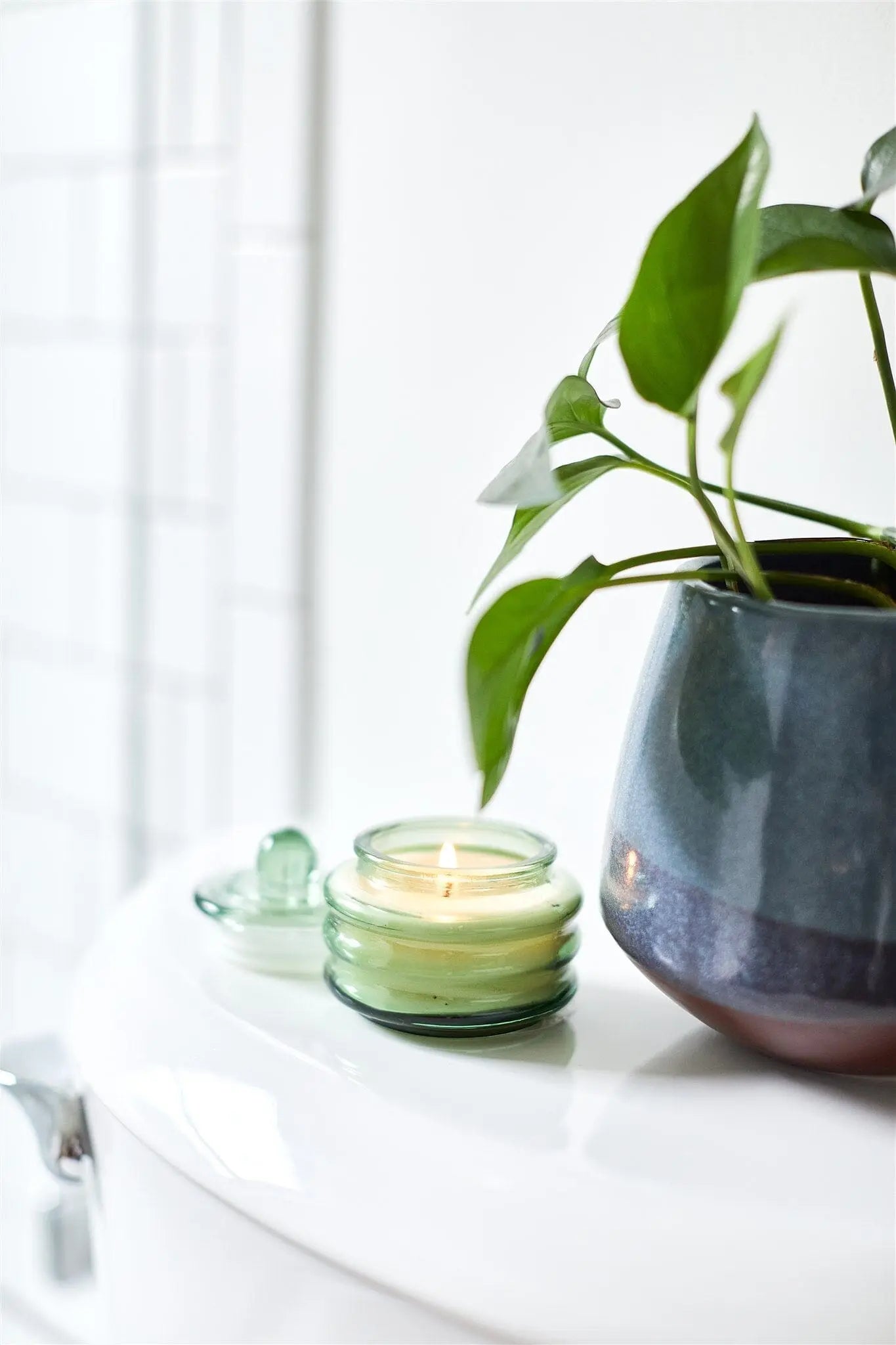 A green potted plant and the Beam 3oz Glass Candle in Misted Lime sit atop a white toilet tank, filling the bright bathroom with ambient light and fresh scent.