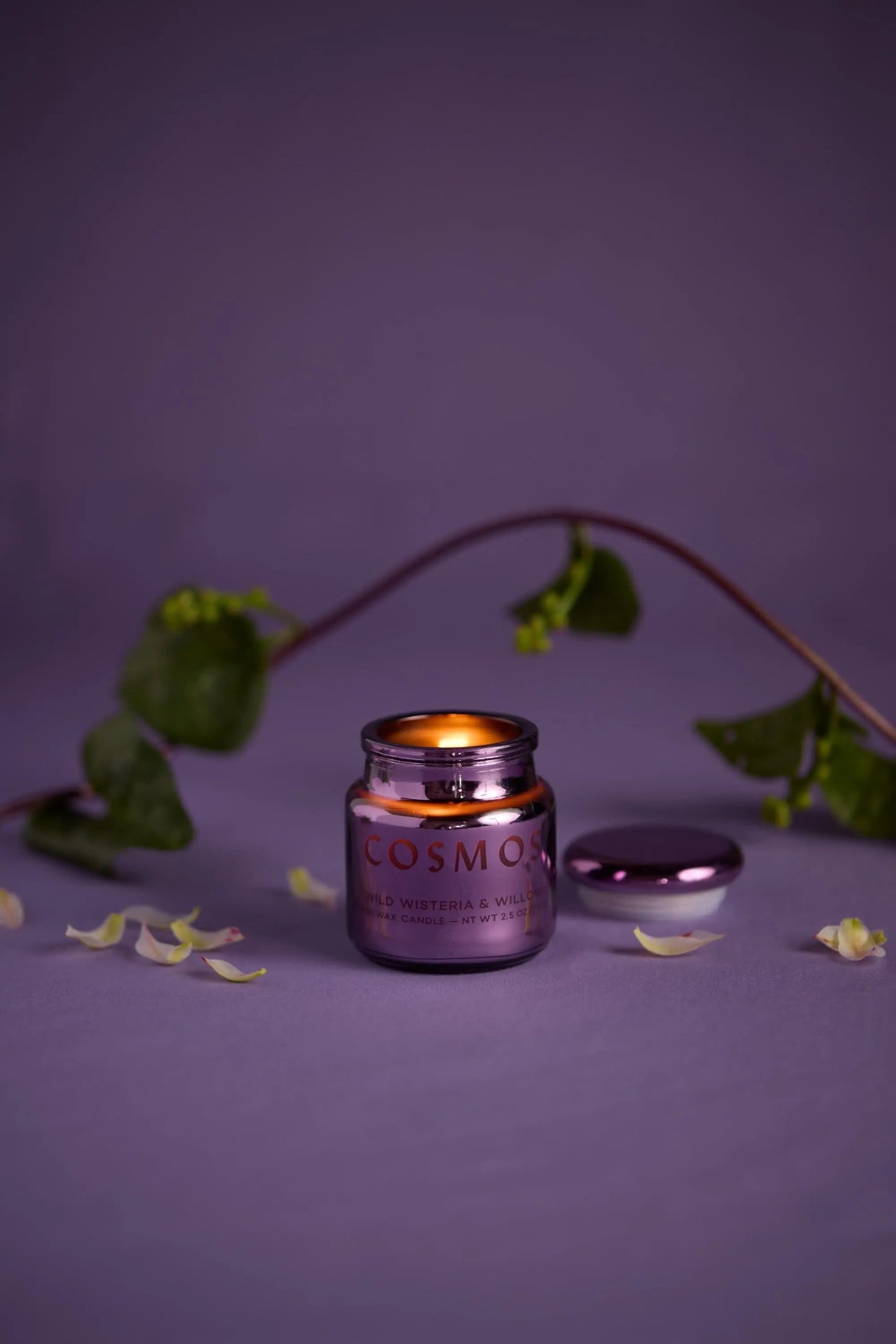 A lit Chroma Candle - Wisteria & Willow in an electroplated purple glass jar sits on a gray surface with scattered petals, a loose lid, and a green vine in the background.