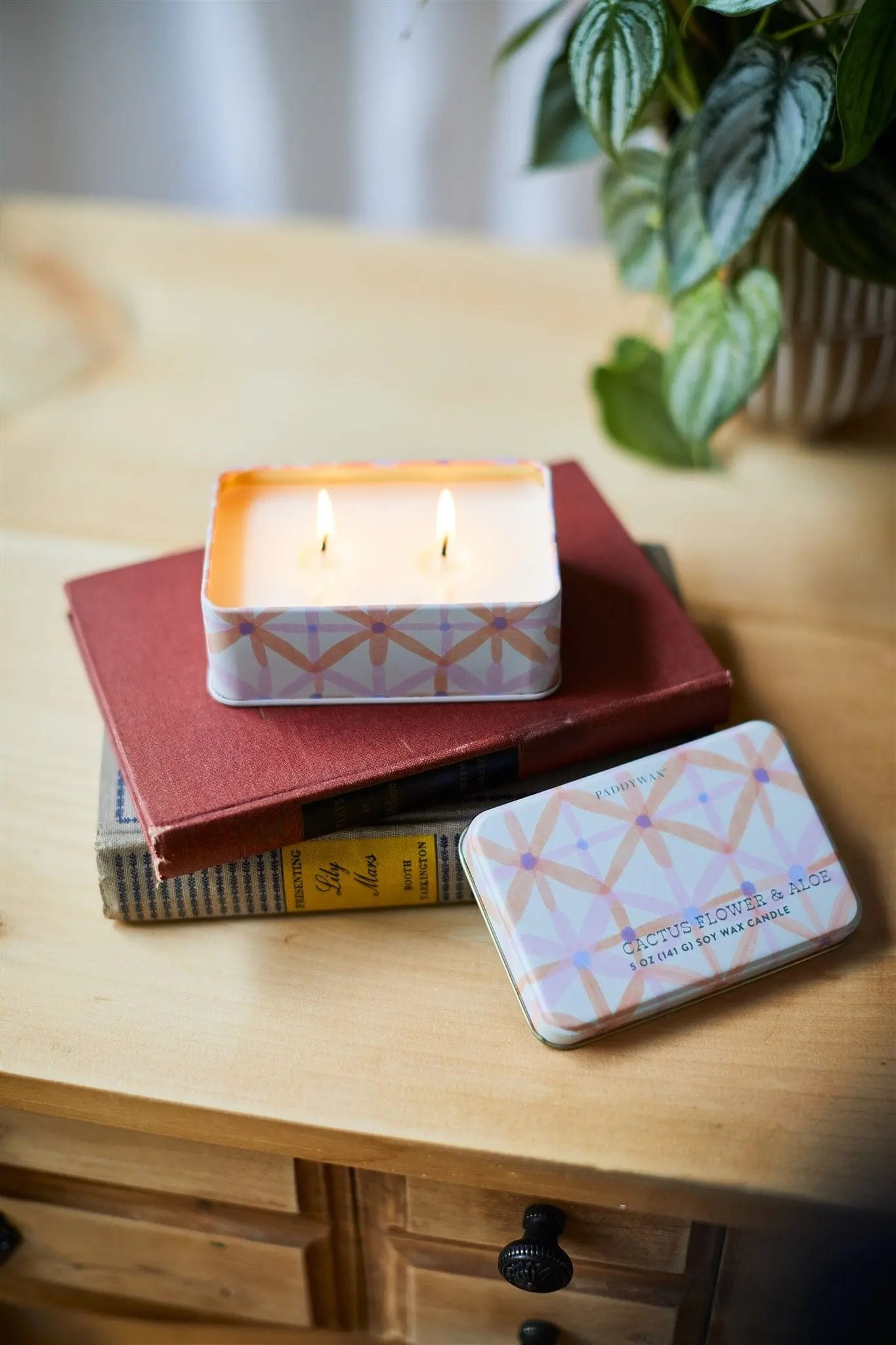 The Everyday Tins 5 oz. Candle – Cactus Flower & Aloe, with its lid set aside, rests on two stacked books atop a wooden surface beside a potted aloe plant.