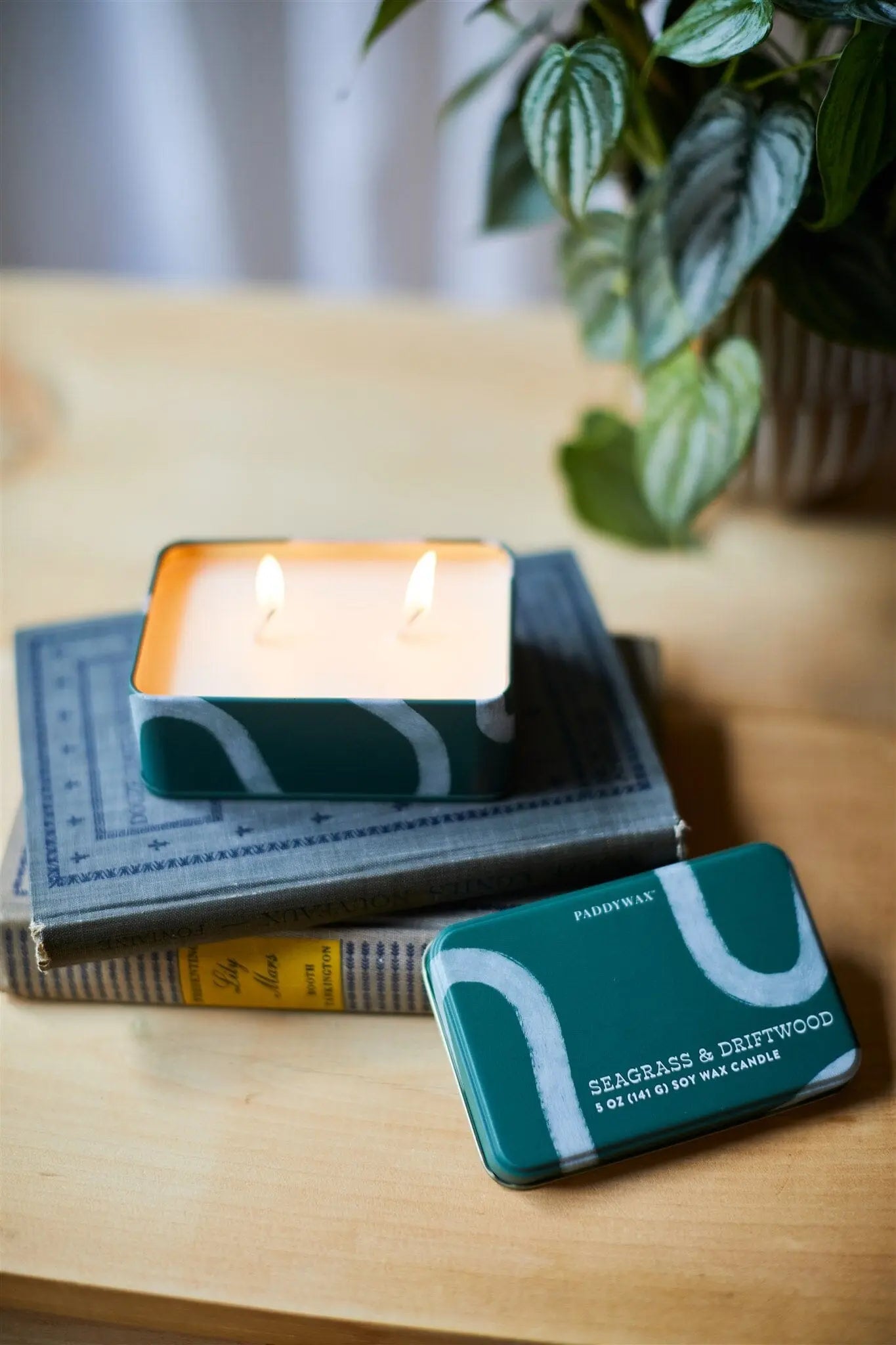 The Everyday Tins 5 oz. Candle - Seagrass & Driftwood sits atop stacked books beside its lid, filling the air with fragrance. In the background, a leafy plant rests on a wooden surface.