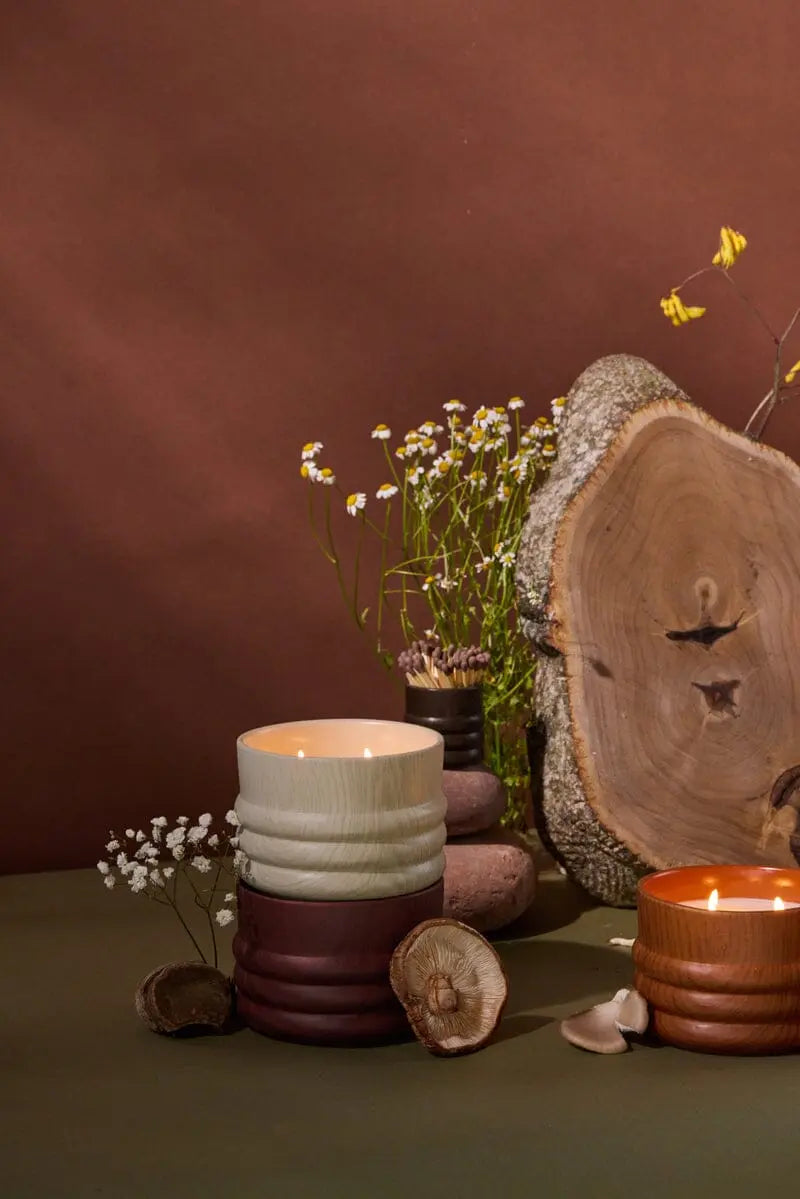 Two Grain Candle - Hinoki Driftwood ceramic candles from the woodgrain collection sit on a green surface with small flowers, mushrooms, and a tree cross-section, set against a brown background.