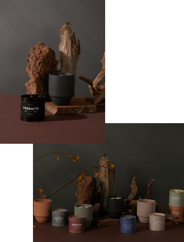 Assorted candles in various colored containers arranged on a brown surface with driftwood and dried flowers, set against a dark background.