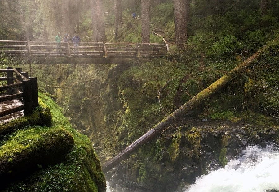 Olympic National Park bridge across a ravine