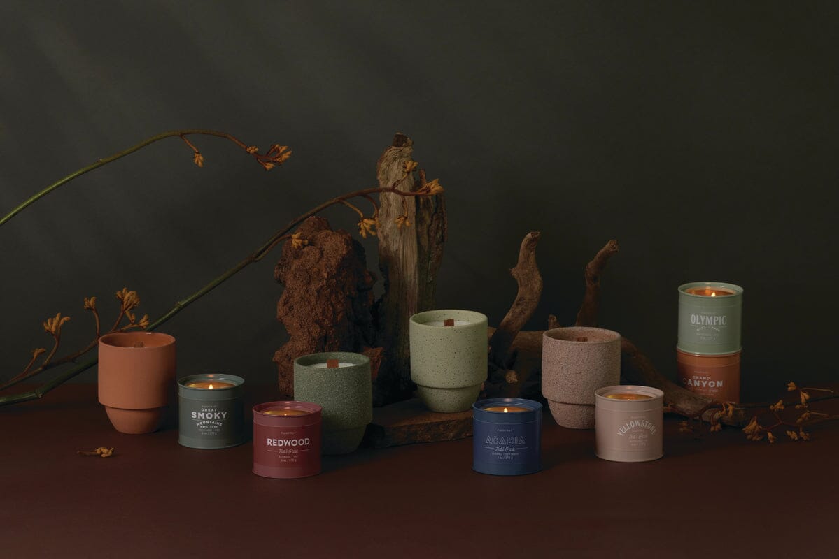 The Parks 11 oz Candle - Olympic, in a colored container with a soothing crackling wood wick, sits on a brown surface adorned with driftwood and dried branches against a dark backdrop.