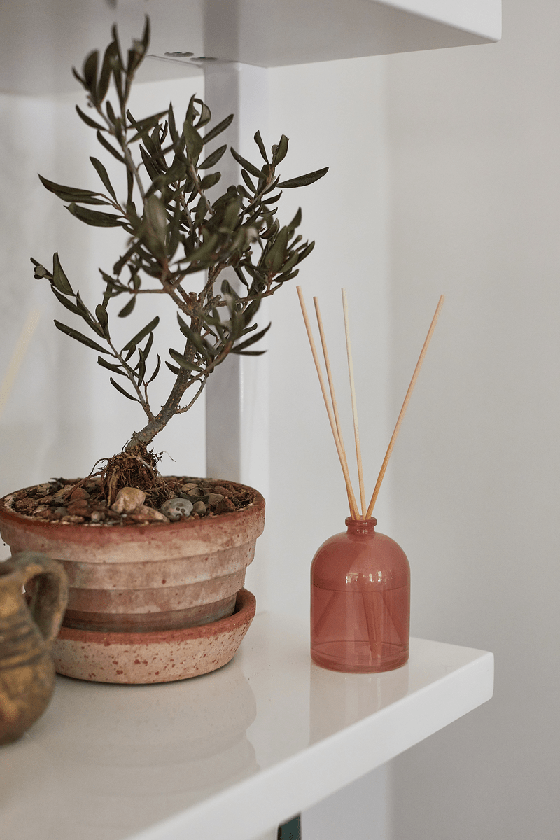 Grapefruit - 1.5 oz Diffuser