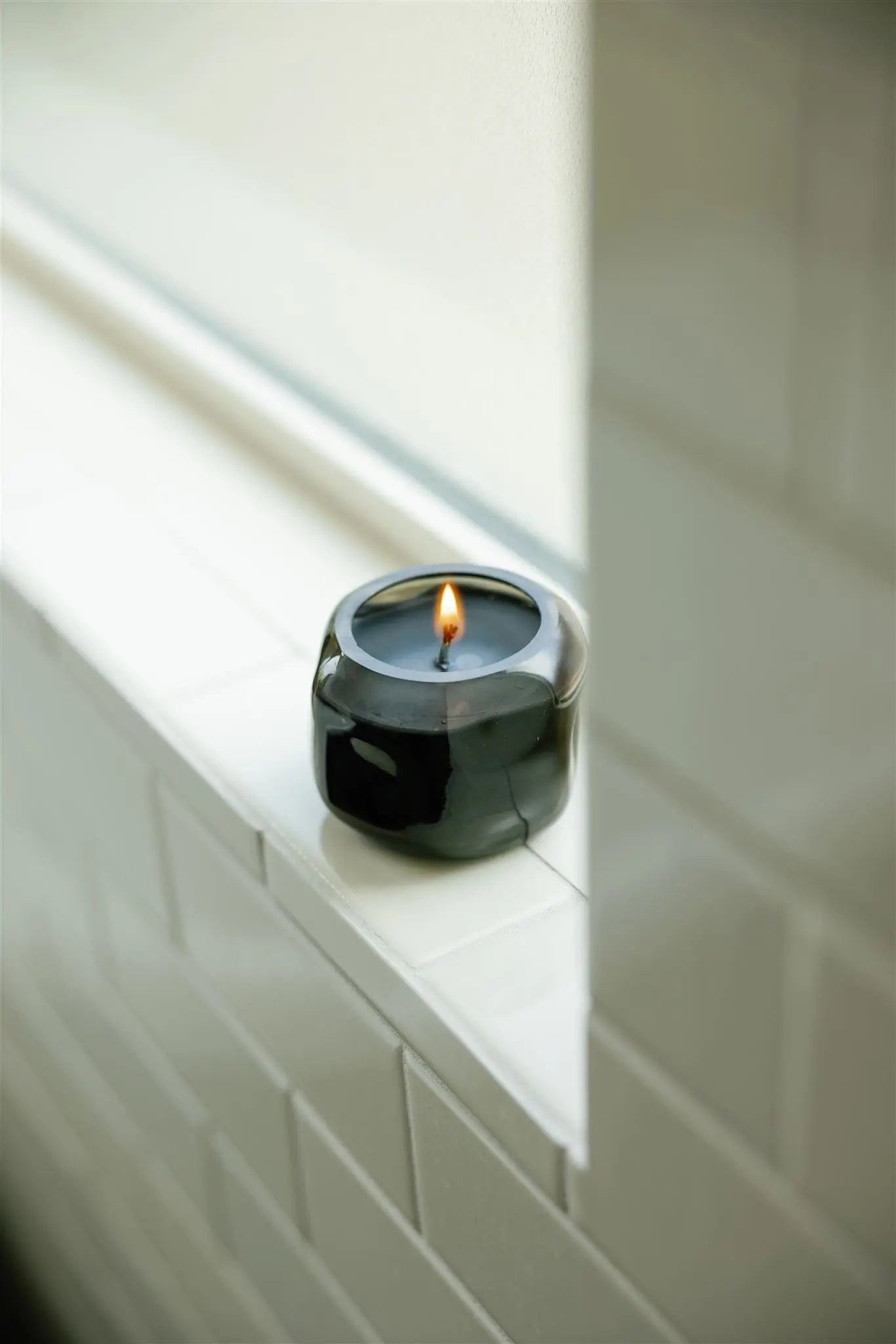 Palo Santo Suede - 5 oz Candle Paddywax