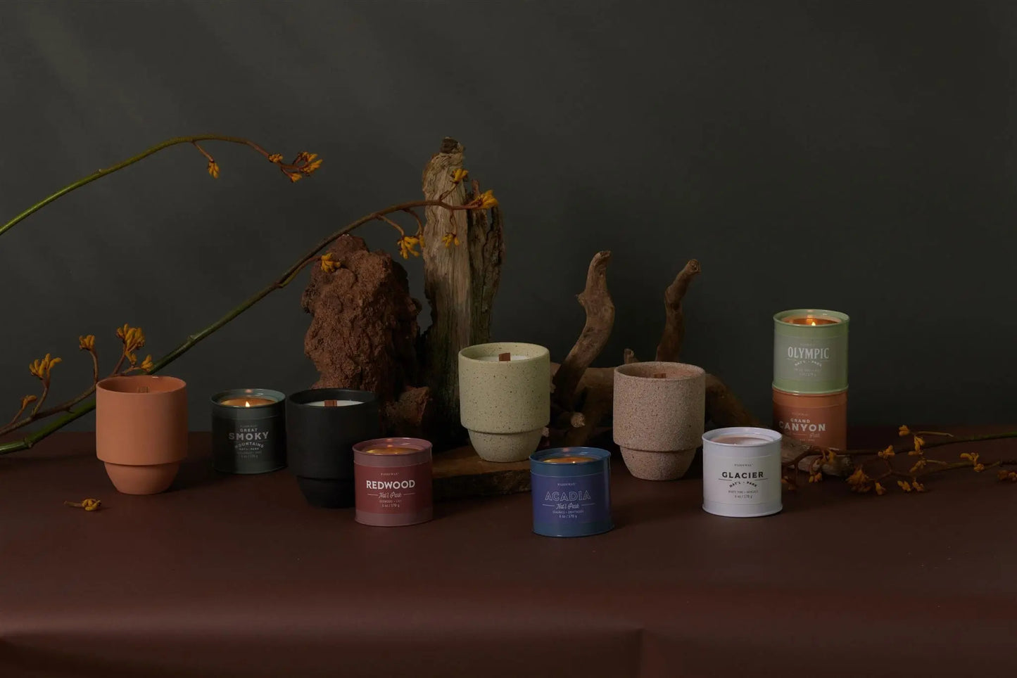 A row of lit and unlit candles, including the Grand Canyon - Parks 6 oz Tin Candle in a colored container, is displayed on a brown surface with pieces of wood and dried flowers against a dark background.