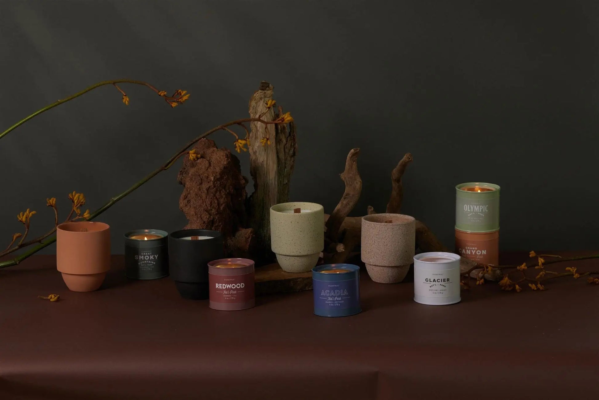 A Parks 6oz Tin - Redwood candle is displayed among driftwood and yellow flowers on a brown surface, some candles lit and some unlit in colorful tins, evoking the tranquility of Redwood National Park against a dark backdrop.