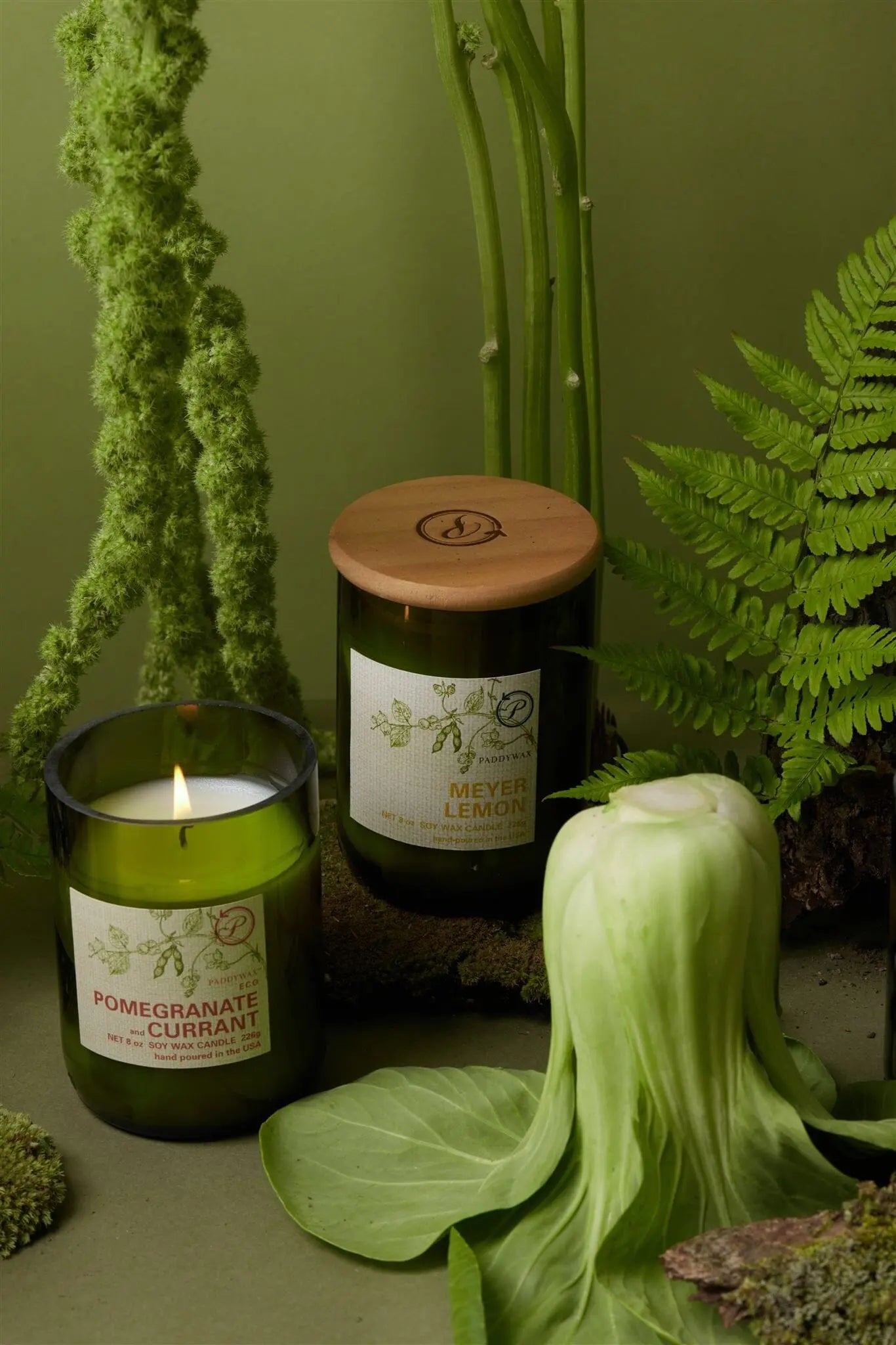 An Eco 8 oz Candle - Meyer Lemon sits among green plants and leafy vegetables, highlighting sustainable home products against a fresh green backdrop.