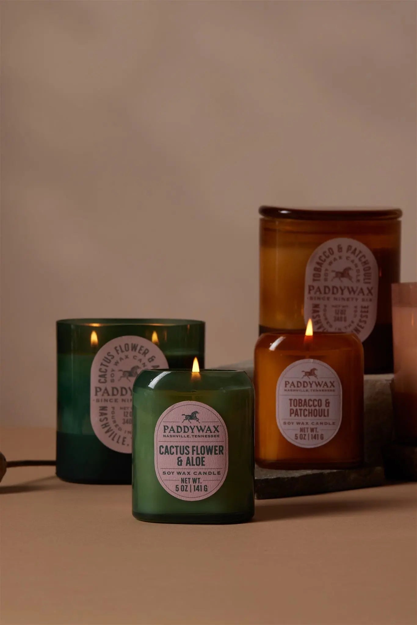 Cactus Flower + Aloe - 12 oz Candle Paddywax