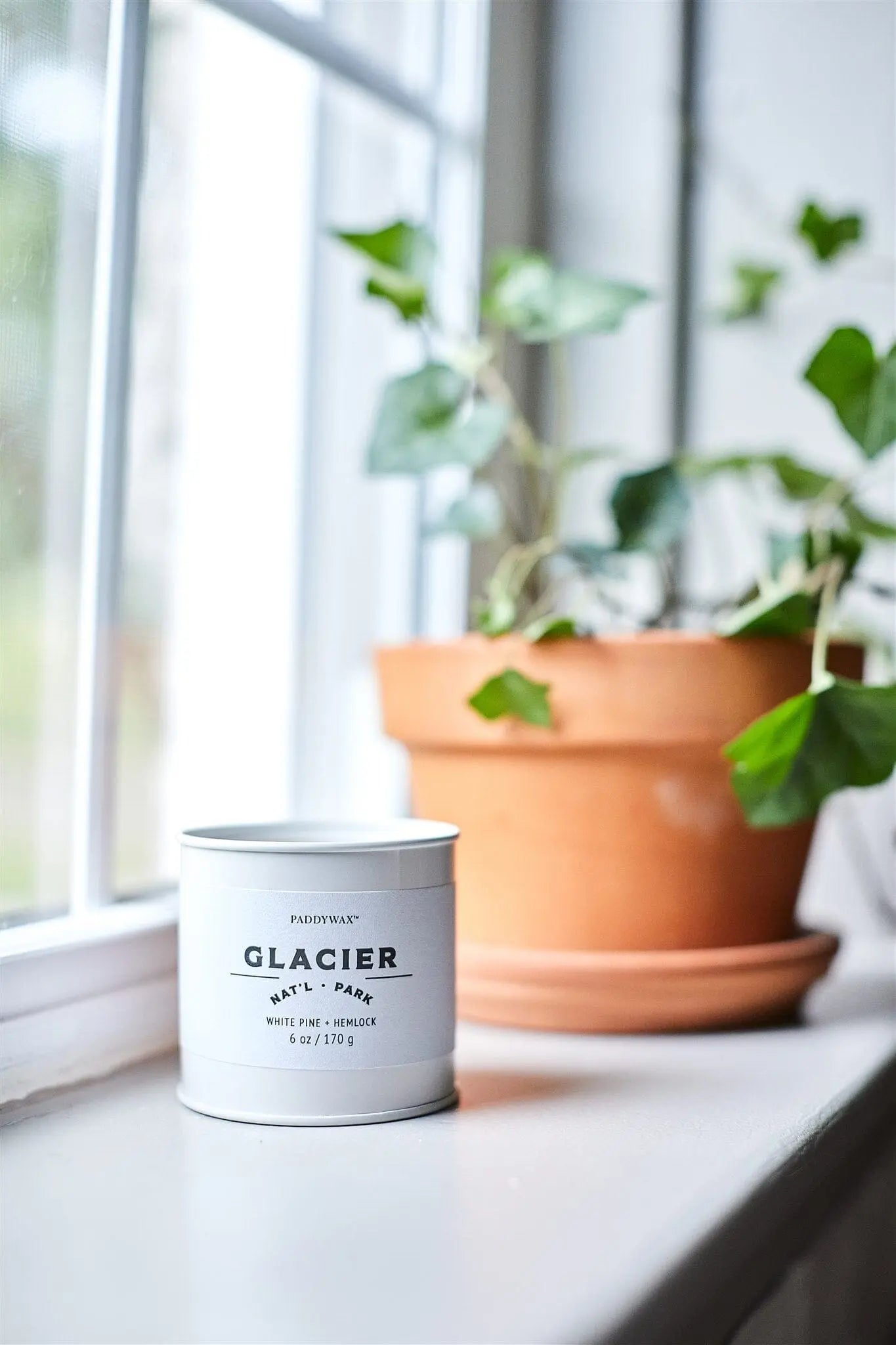 A Parks 6oz Tin - Glacier candle sits on a windowsill beside a potted plant in a terracotta pot, perfect for outdoor enthusiasts.