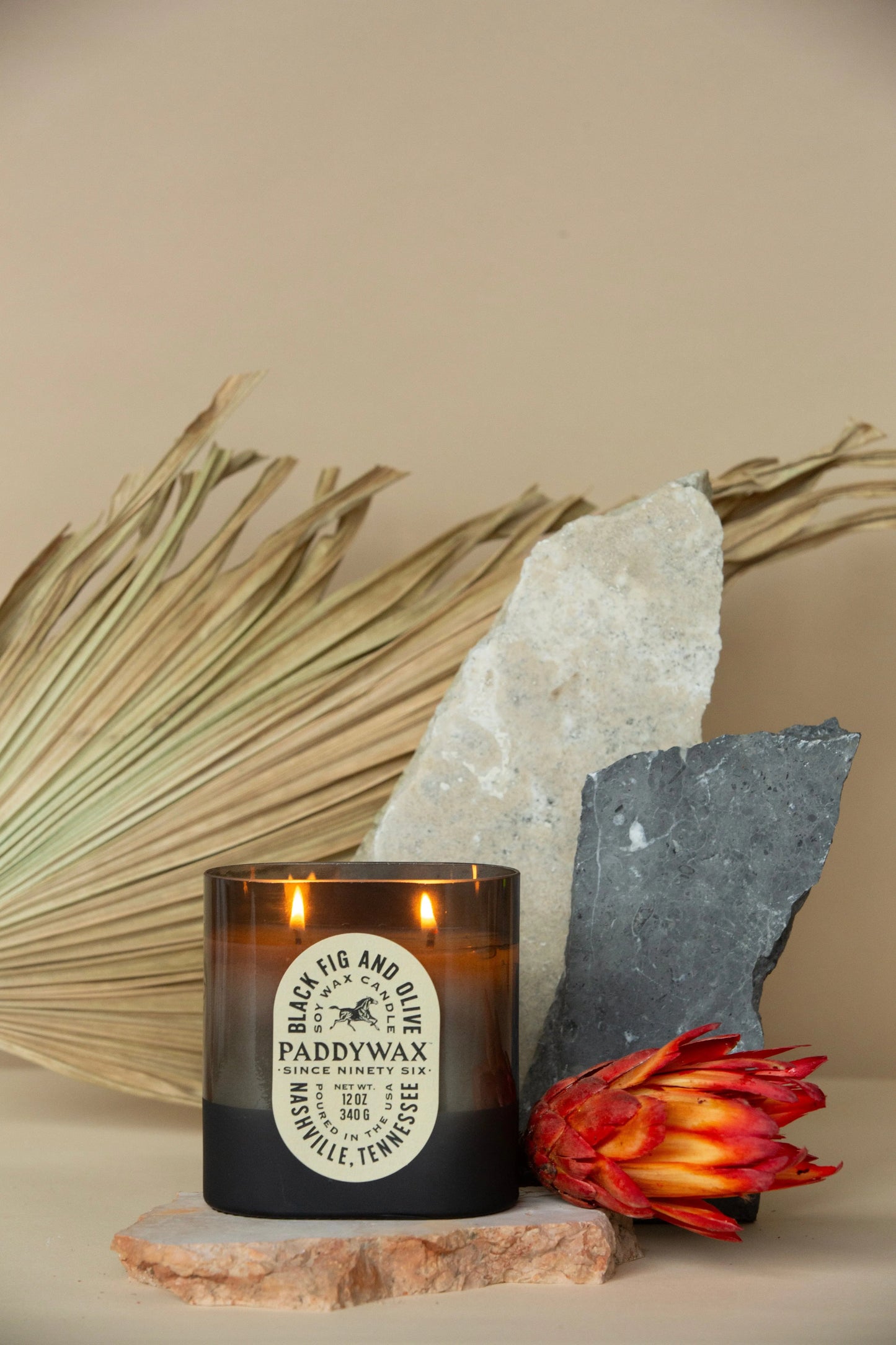 Black Fig + Olive - 12 oz Candle Paddywax
