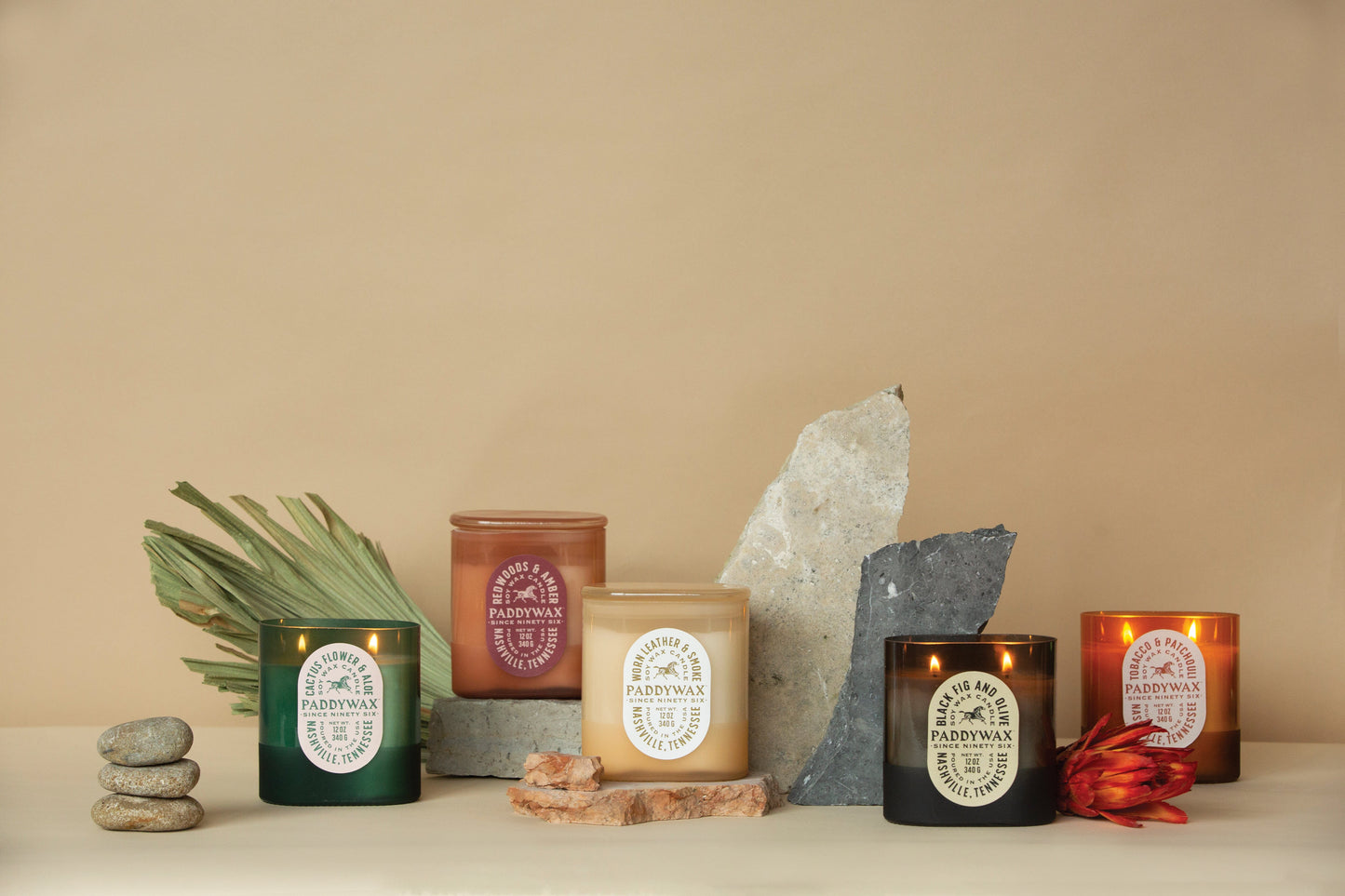 Vista 12 oz Candle - Cactus Flower + Aloe