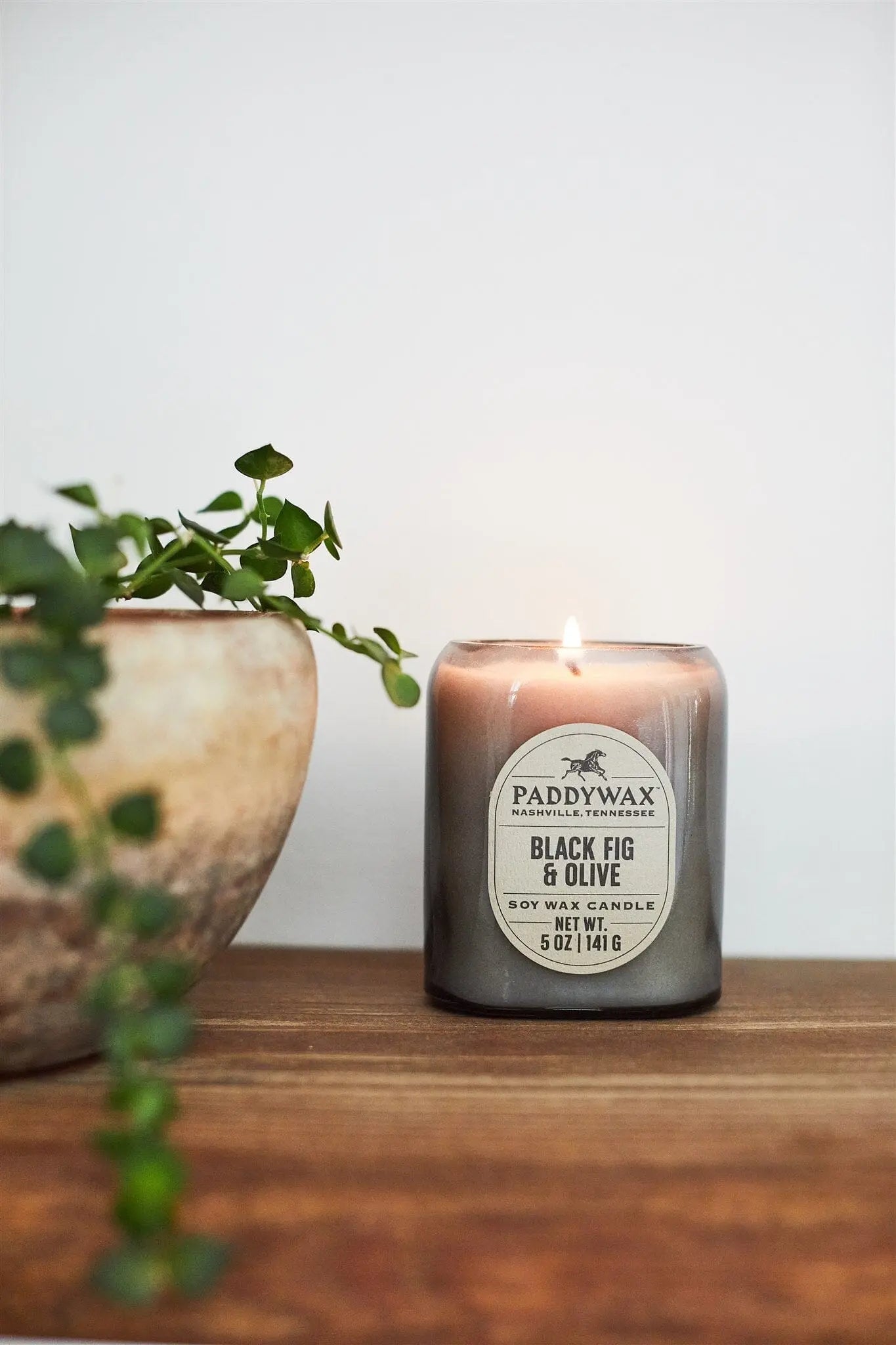 A lit Vista 5 oz Candle - Black Fig & Olive rests on a wooden surface beside a ceramic pot with trailing greenery, filling the room with a luxurious scent ideal for modern home decor.