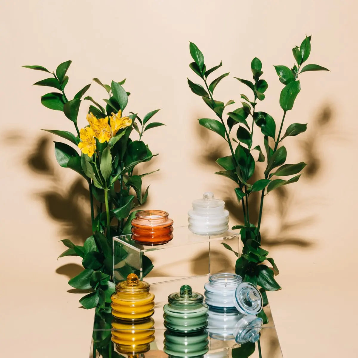 Five Beam 3oz Glass Candle - Cotton & Teak, featuring colorful glass jars with lids, are displayed on clear platforms, surrounded by green leaves and yellow flowers, set against a beige background for a luxurious and ambient vibe.