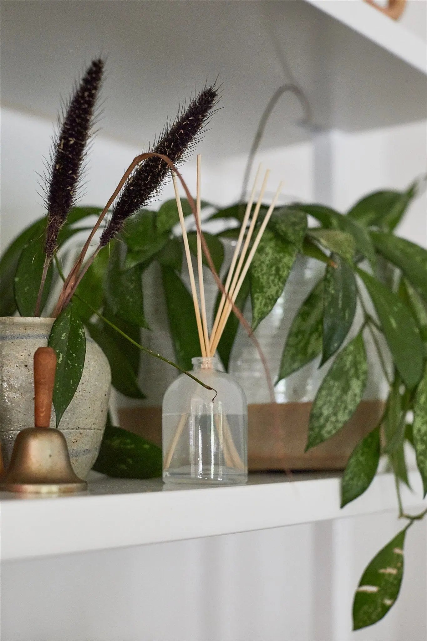 A white shelf displays a potted plant, a small ceramic vase with dried grasses, and the Petite Reed Diffuser - Flowers—perfect for adding fragrance and charm to any space.