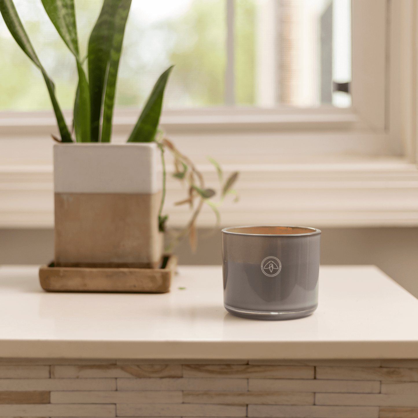 10oz Serenity two wick candle on white table with a planter and plant in front of a window
