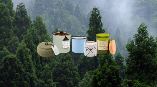 Cedar candles in different forms on tree background