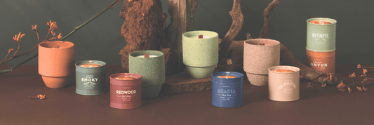 Exploring the Beauty of National Parks with Paddywax Candles