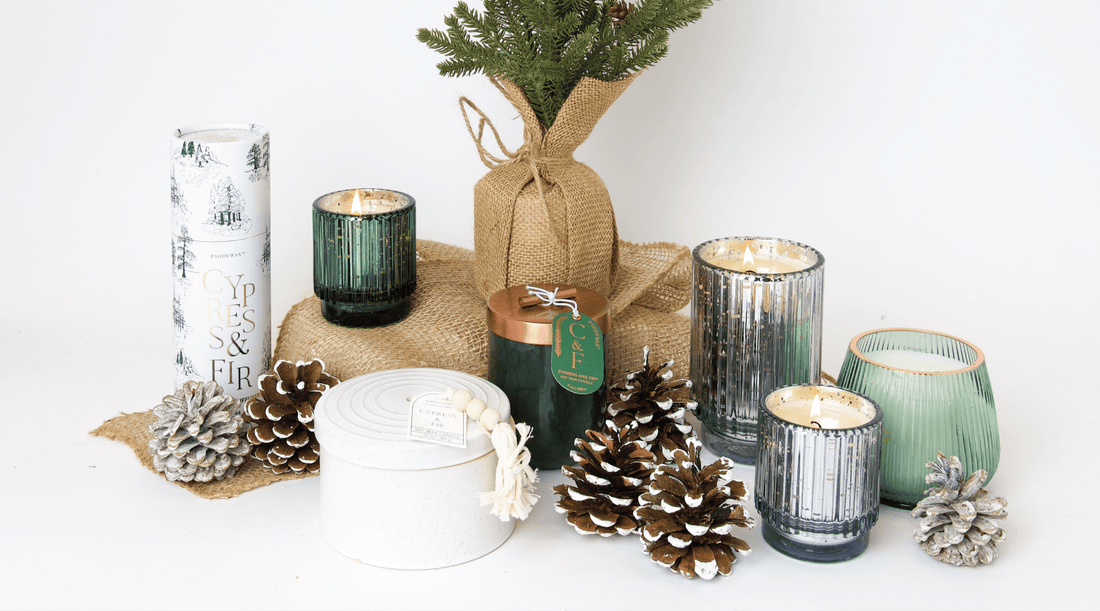 Cypress + Fir candles around a small christmas tree and pine cones on white background