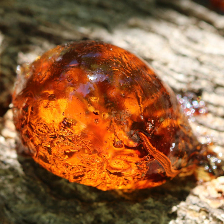 Piece of amber on a rock floor with sun illuminating the stone 