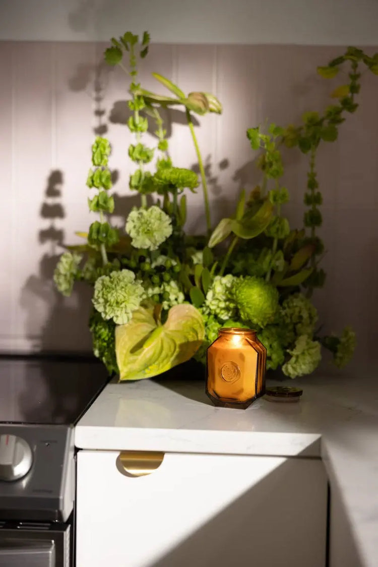 For-the-Elegant-soul Paddywax