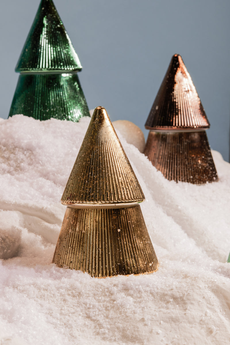 Cypress & Fir Collection of Candles from Paddywax