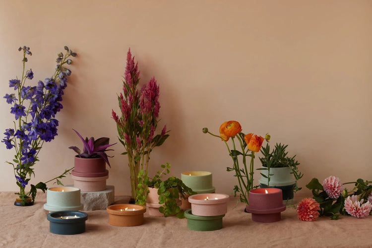 Folia Collection amongst flowers on beige background