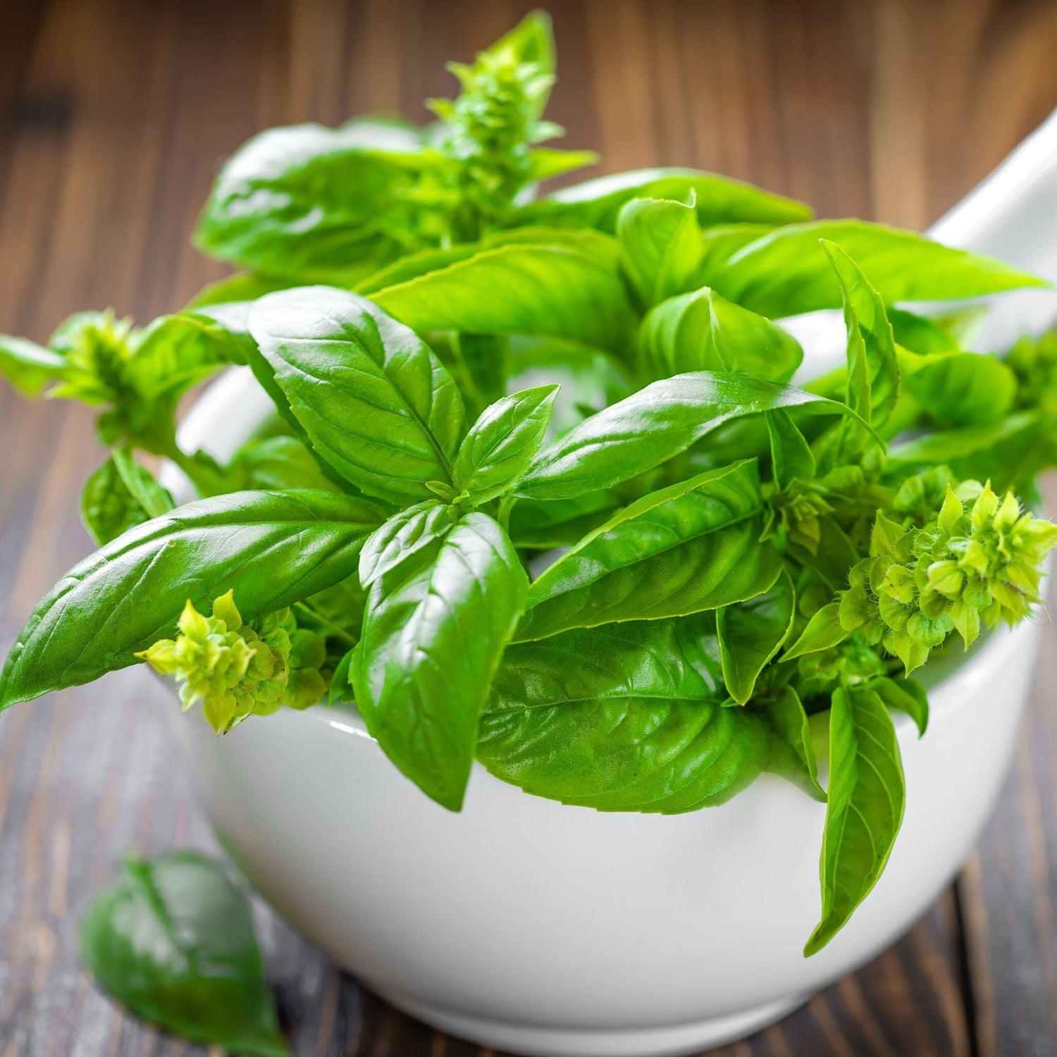 fresh basil overflowing from white bowl on wooden table