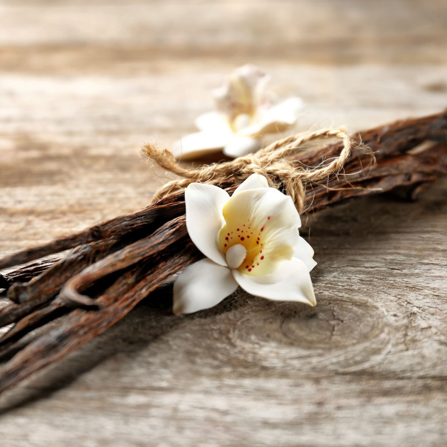 Vanilla flower and vanilla beans on wooden table