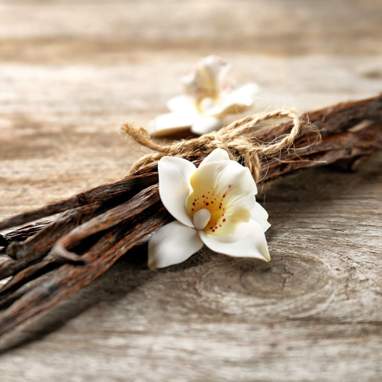 Vanilla flower and vanilla beans on wooden table