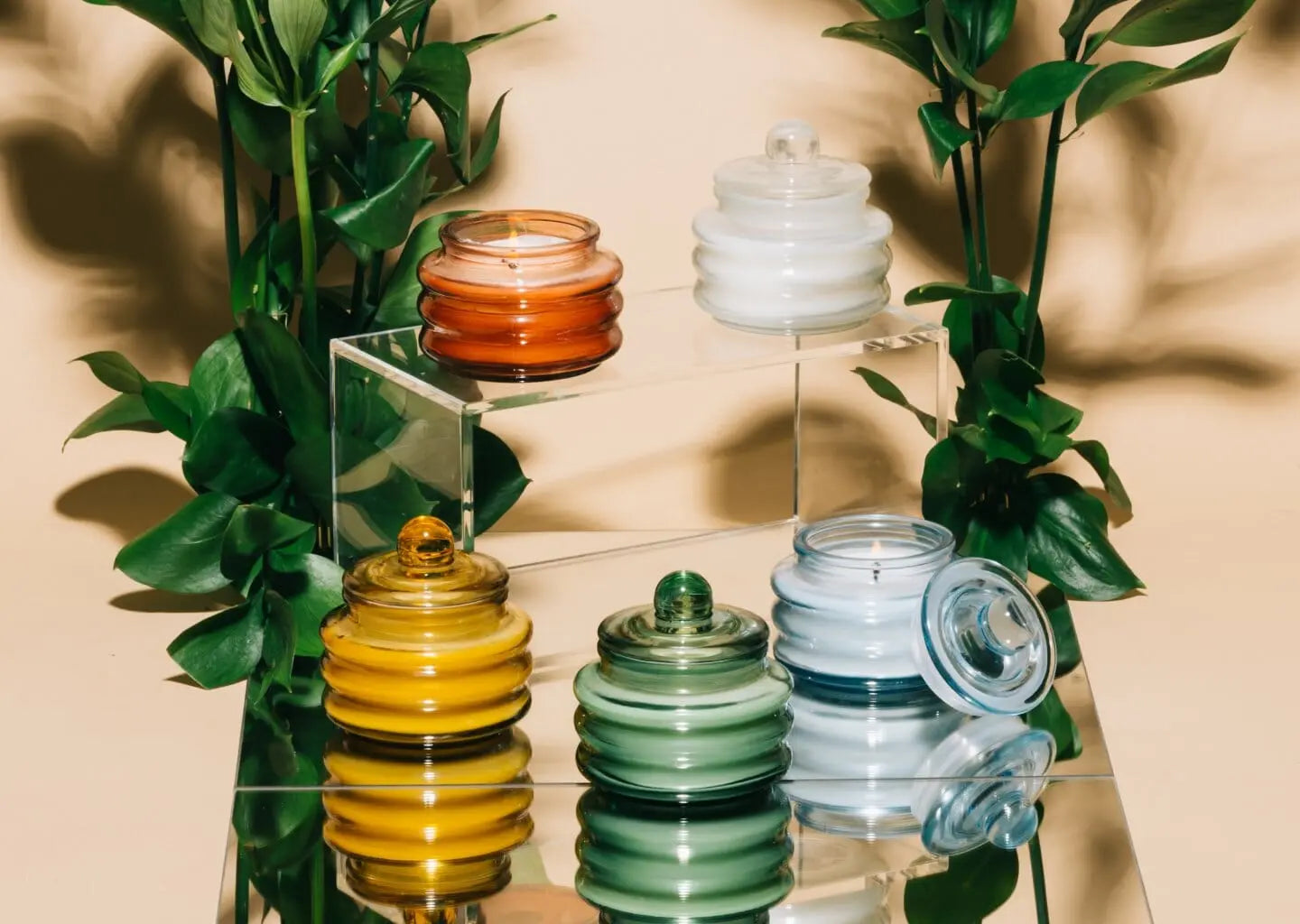 Collections – Paddywax