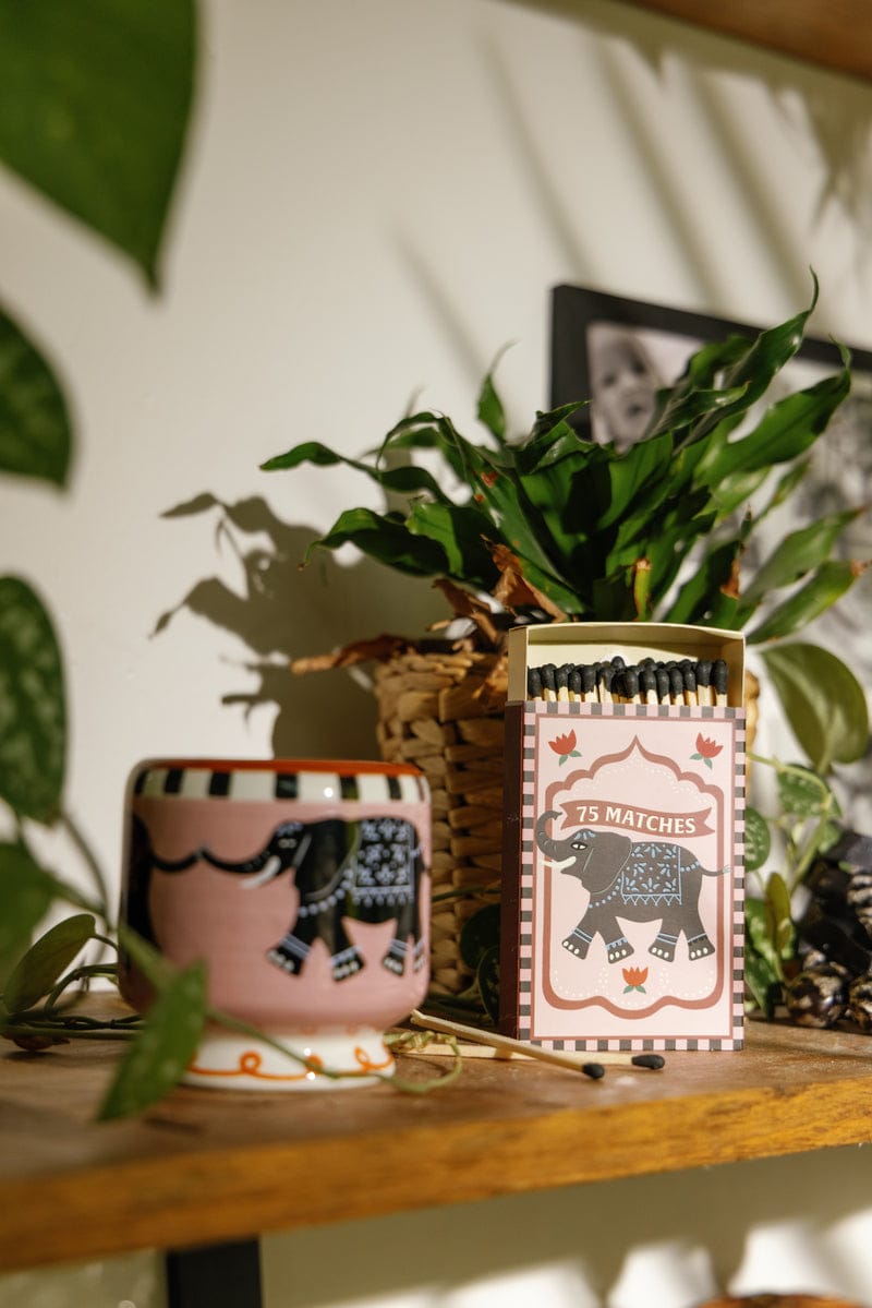 A pink mug and an A Dopo "Elephant" - 75ct Boxed Matches sit on a wooden shelf, surrounded by green plants.