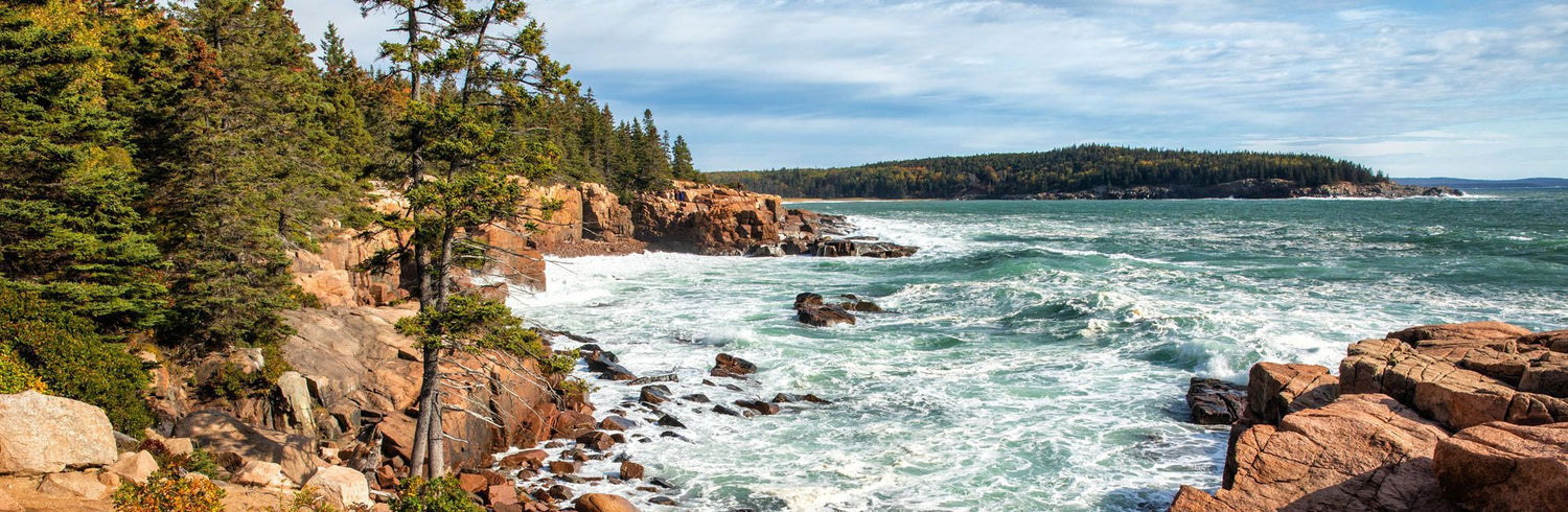 Coastline of Acadia National Park