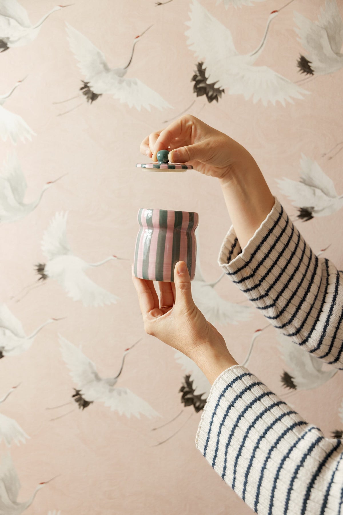 Hands in striped sleeves lift the lid of a small Cinnamon & Clove - Cabana 6.5 oz Candle, featuring pink and green stripes, against a pink background with white crane illustrations.