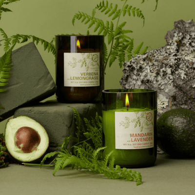 Two lit candles labeled Verbena + Lemongrass and Mandarin + Lavender are surrounded by ferns, avocados, green blocks, and tree bark on a green surface.