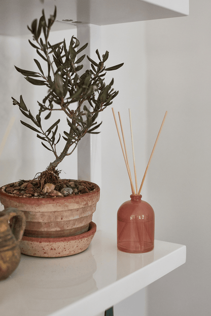 Grapefruit - 1.5 oz Diffuser