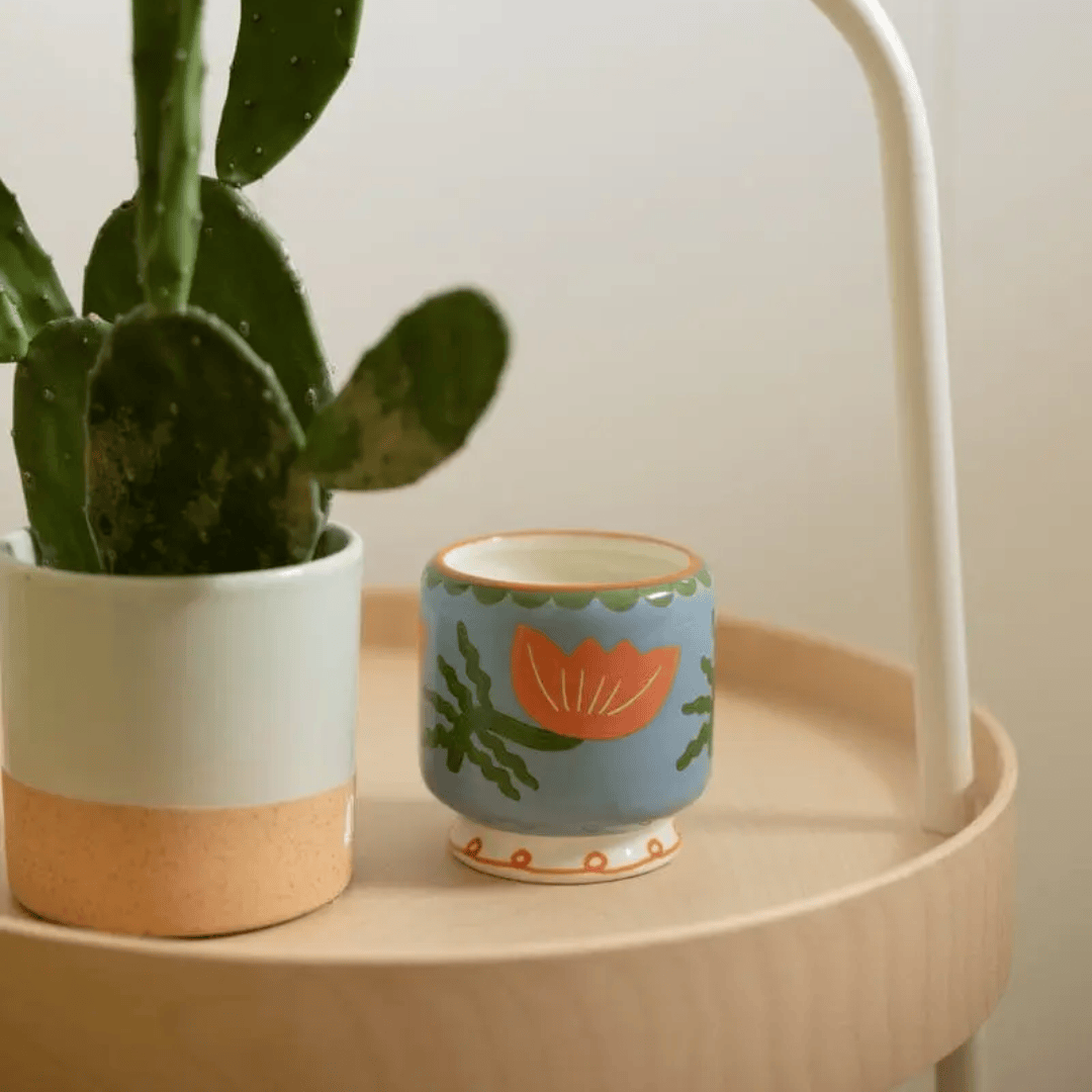 ceramic cactus flower pot Cactus Flower - A Dopo 8 oz Candle