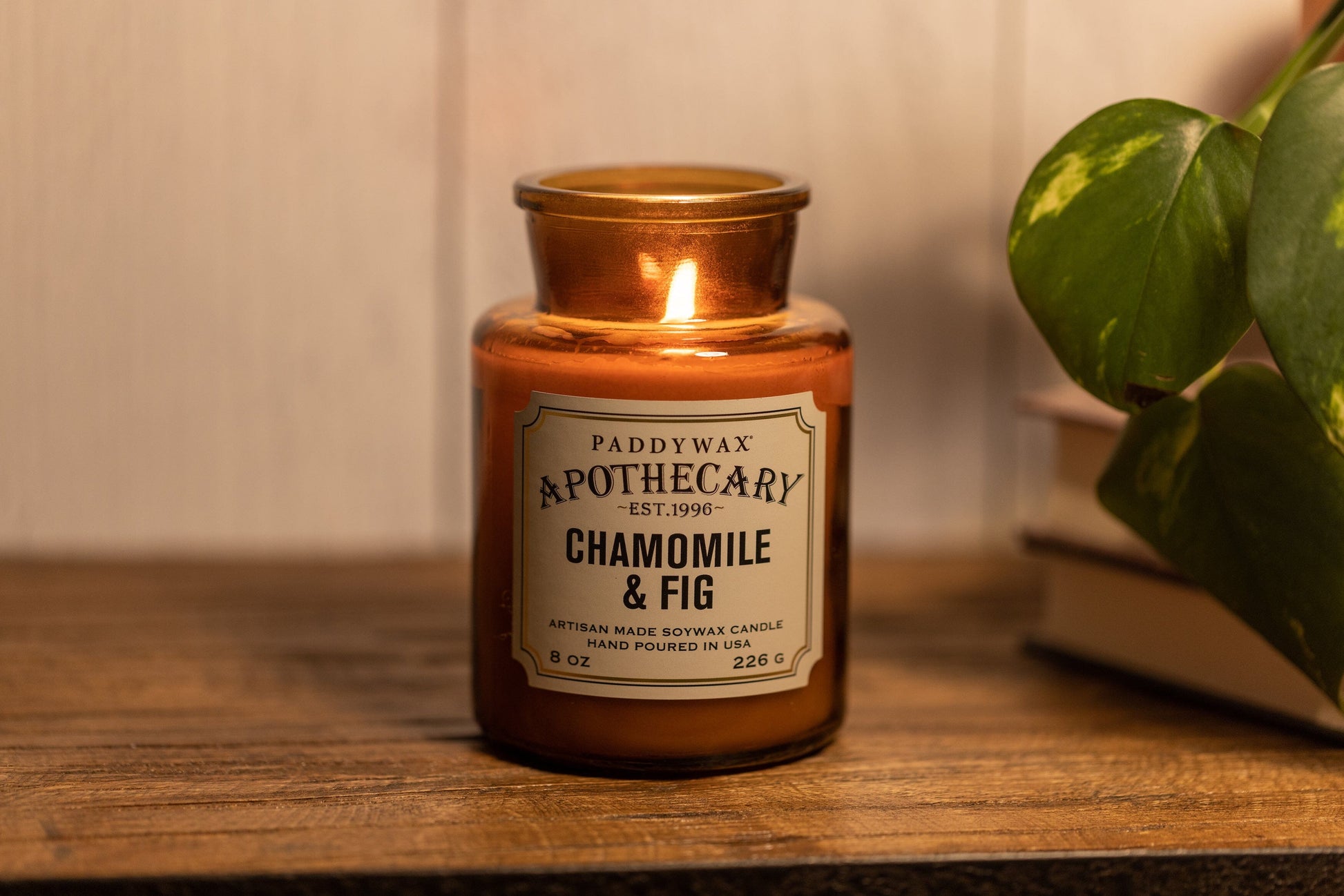 Chamomile & Fig Apothecary candle on a wooden shelf next to a plant