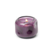 Violet & Vanilla - 5 oz Candle Paddywax
