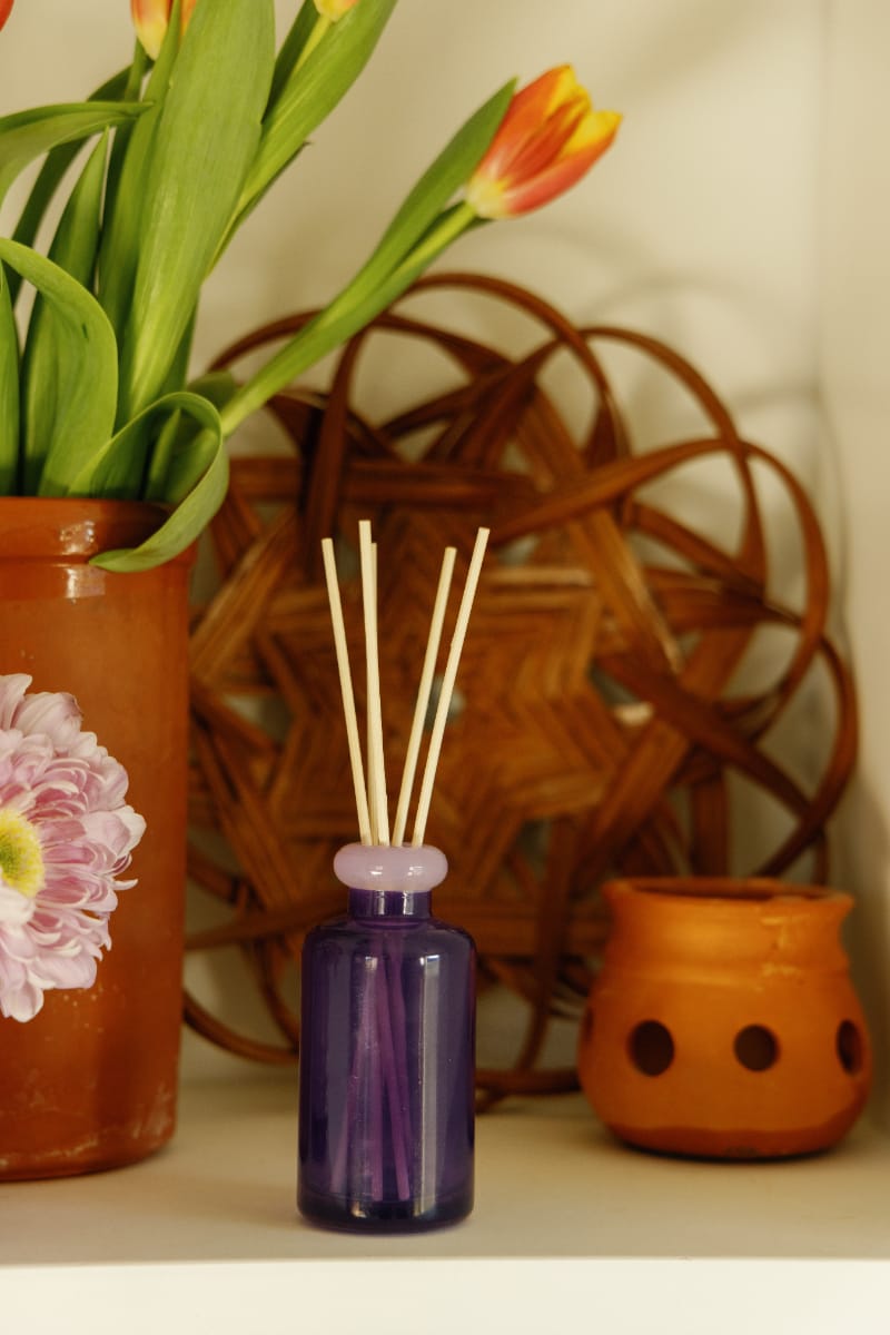A Violet Vanilla - Stack 3.2 oz Diffuser with wooden sticks sits on a shelf next to a matching candle in a reusable glass vessel, surrounded by potted flowers, a terracotta pot, and a decorative woven item in the background.